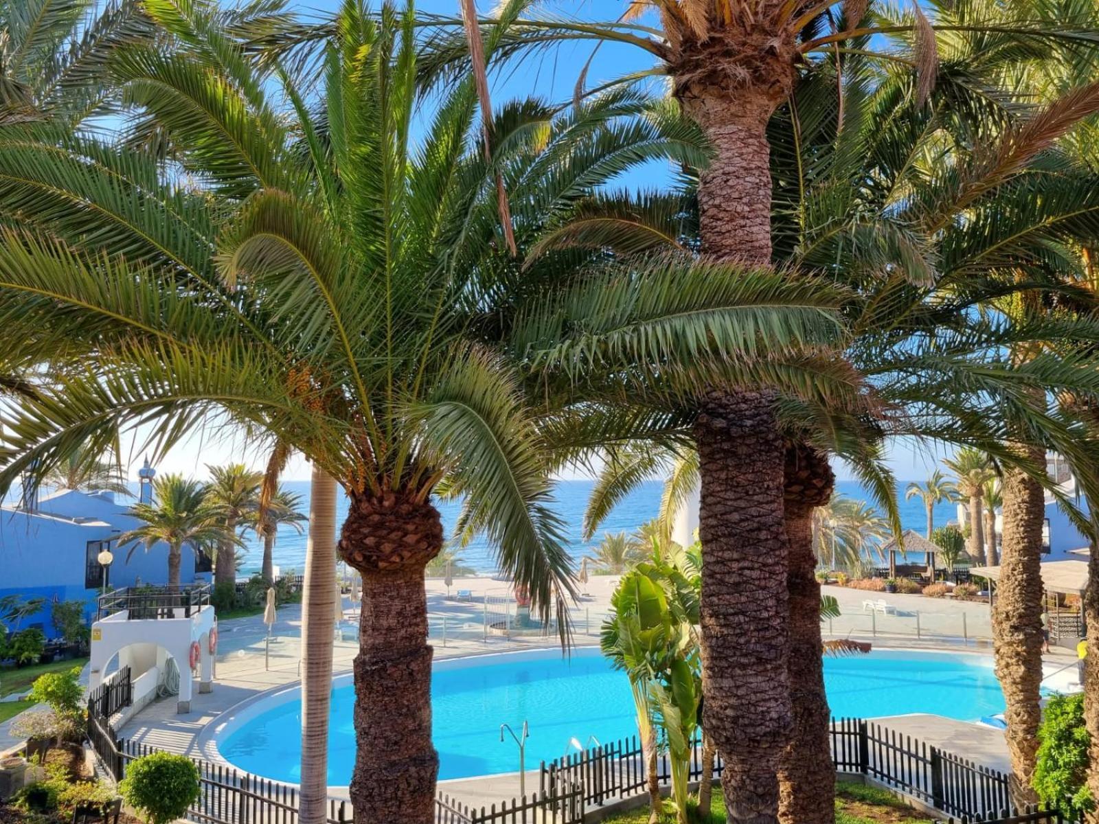 Top 2 Sun Club Bungalow Terraza Маспаломас Екстериор снимка